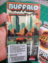 Buffalo New York Sticker Set – 2 Waterproof Retro Vinyl Decals